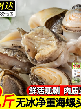 丹东新鲜海螺肉冷冻即食无沙