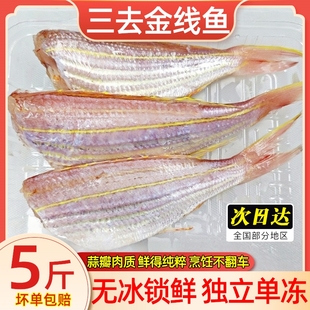 金线鱼三去速冻金线鱼无冰金线鱼批发红杉鱼海鲜水产商用整箱顺丰