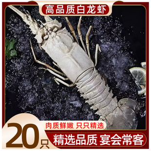 白龙虾鲜活冷冻银龙虾大号新鲜深海龙虾深海虾刺身级宴会海鲜水产