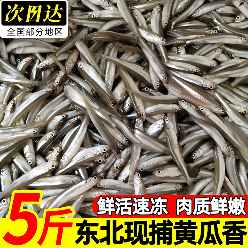 东北特产黄瓜香小公鱼速冻锁鲜