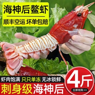 海鳌虾白刺海神后深海刺身国产鲜活海鳌虾日料生吃甜虾海鲜水产