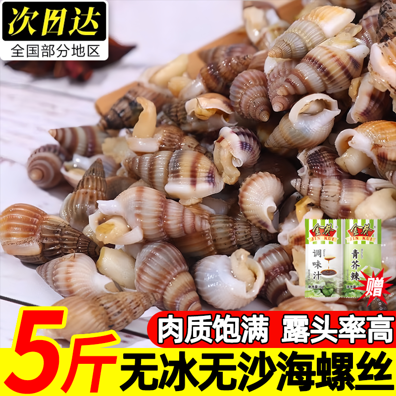 丹东熟冻麻辣海锥海螺丝批发
