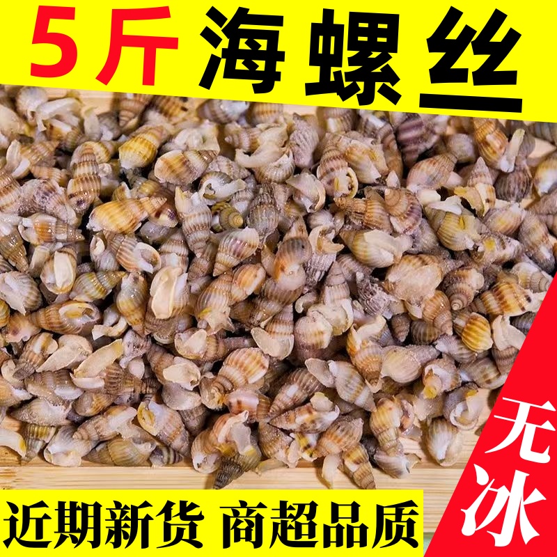 海瓜子鲜活新鲜冷冻海锥海瓜子熟冻海螺蛳海锥海螺贝类海鲜水产