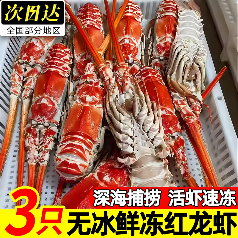 北海海捕大号冷冻龙虾顺丰
