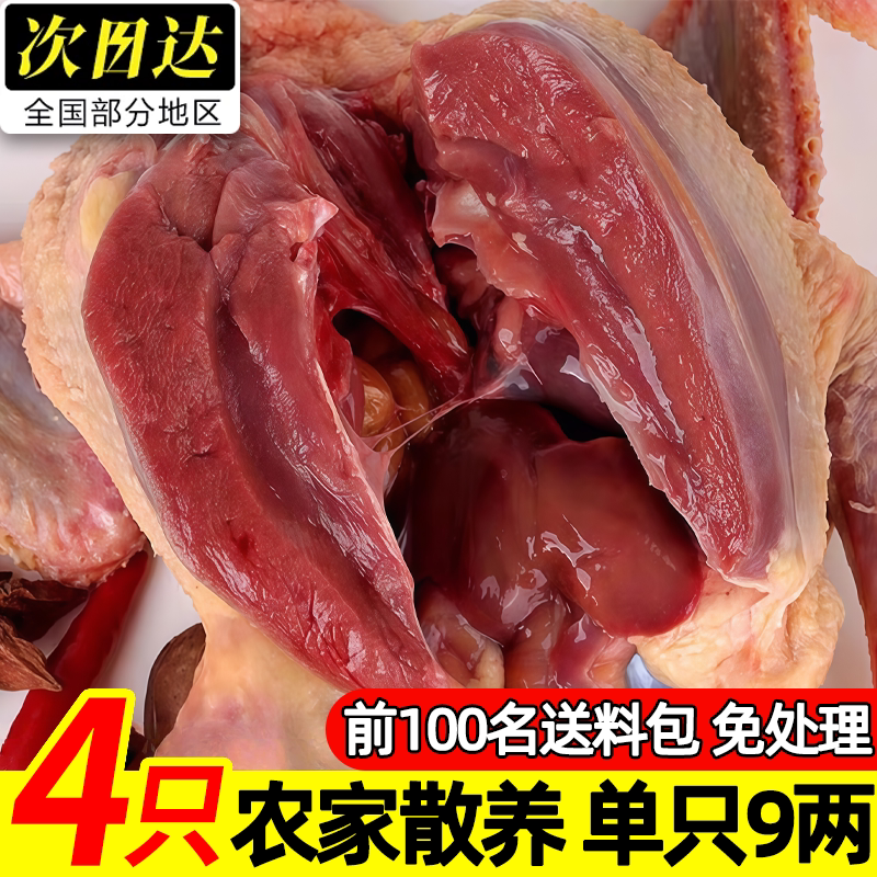 农家散养现杀新鲜乳鸽滋补炖汤