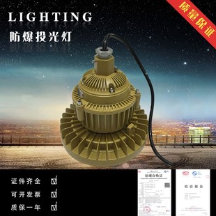 防爆高效节能LED灯 防爆免维护LED灯 防爆灯BAD84系列 防爆LED灯