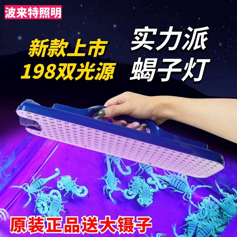 波来特蝎子灯大平板紫光灯照蝎灯豆丹豆虫灯手提灯充电超亮长续航