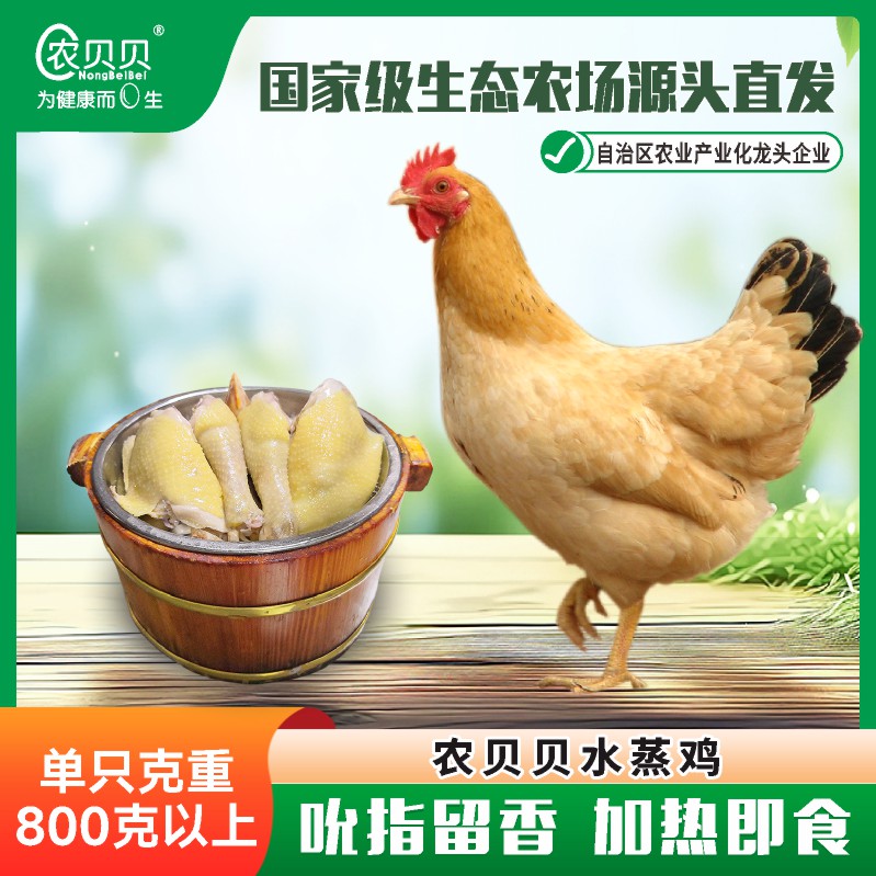 農(nóng)貝貝水蒸雞即食4個月三黃雞