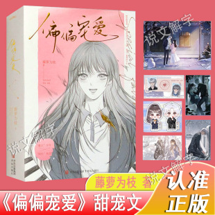 人物卡 官方正版 明信片 赠海报 原名病态宠爱江忍×孟听爱情晋江文学城青春校园言情 偏偏宠爱实体书小说上下全套2册藤萝为枝著