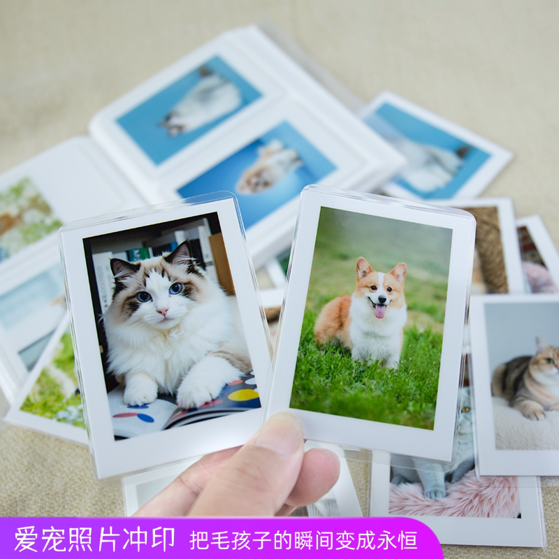 专属宠物照片高清冲印定格毛孩子照片冲印/小卡定制