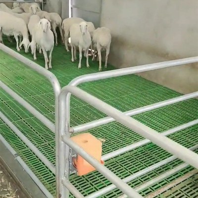 极速.漏粪板羊床板塑料j漏粪板羊用钢丝网竹板养殖场羊床U60*60cm