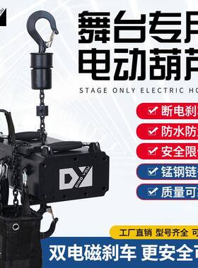 DY 50kg-1吨迷你安0全稳250kg*10定可靠舞的台结构电动链条起重机