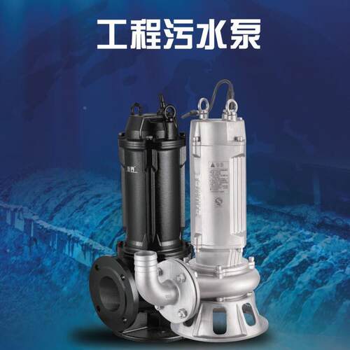 S池DP潜污泵潜水泵硝化液回流工地塘排污IWJ河道清泵淤泵