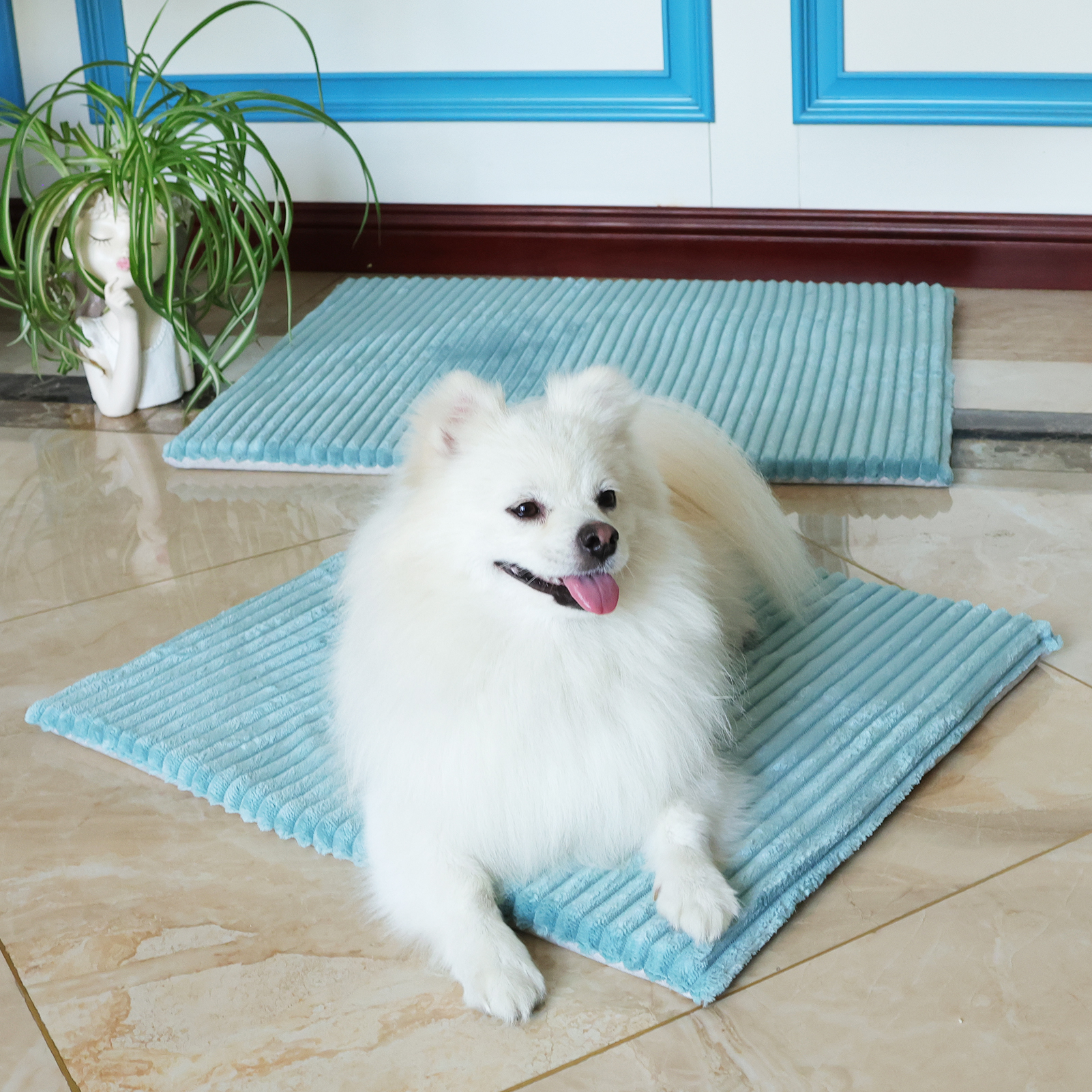 狗窝冬加厚四季通用防撕咬