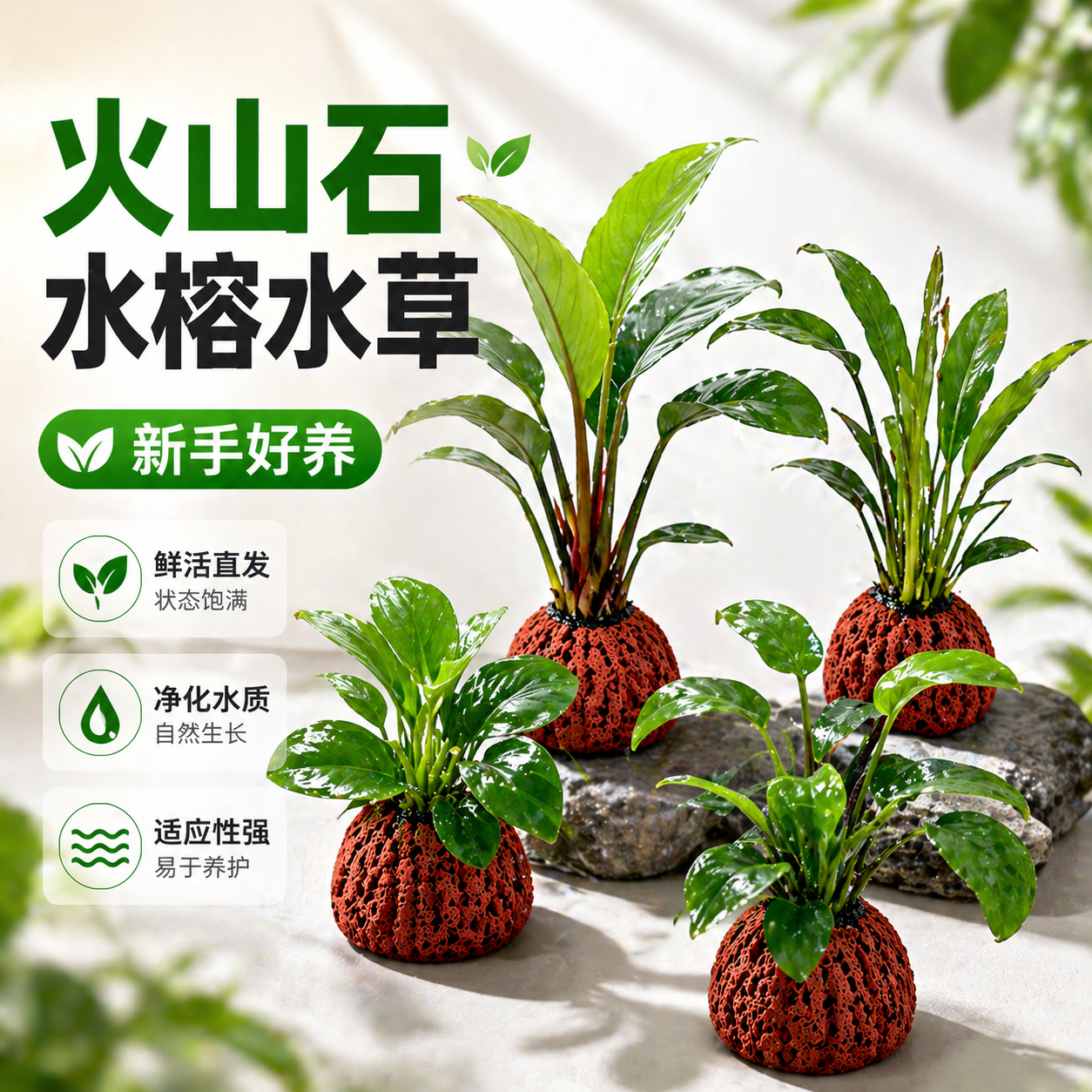 水屿鱼火山石水榕水草鱼缸造景套餐阴性新手植物淡水增氧懒人摆件