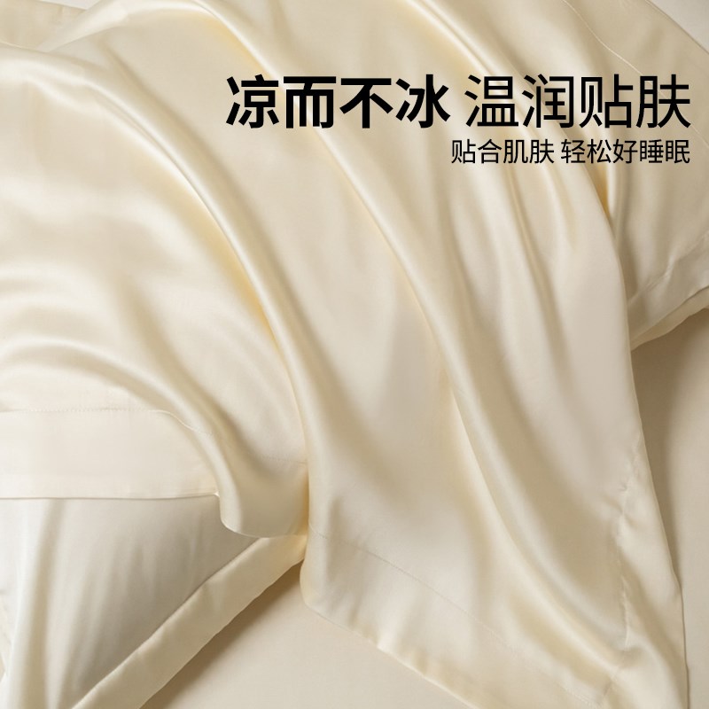 高级感天丝枕套一对装真丝枕头套夏季冰丝48cmx74cm枕芯内胆套新图片