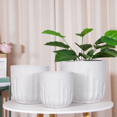 欧式 白色陶瓷花盆大口径绿萝兰花多肉植物盆栽轻奢高级感桌面花瓶