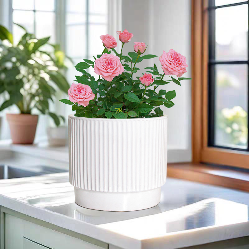 花盆陶瓷家用阳台专用蝴蝶兰花绿萝多肉大小口径专用花盆清仓特价