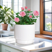 花盆陶瓷家用阳台专用蝴蝶兰花绿萝多肉大小口径专用花盆清仓特价