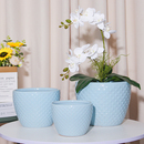 陶瓷花盆带托盘花卉植物客厅花园庭院特大号蝴蝶兰简约加厚浮雕