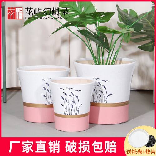 简约陶瓷花盆室内发财树文心兰蝴蝶兰专用盆
