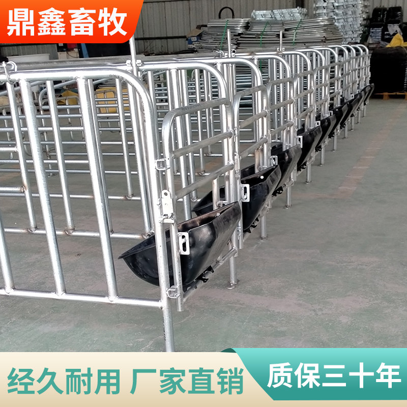 母猪限位栏落地式带漏粪板猪厂用2.0冷镀带食槽加饮水产床定位栏
