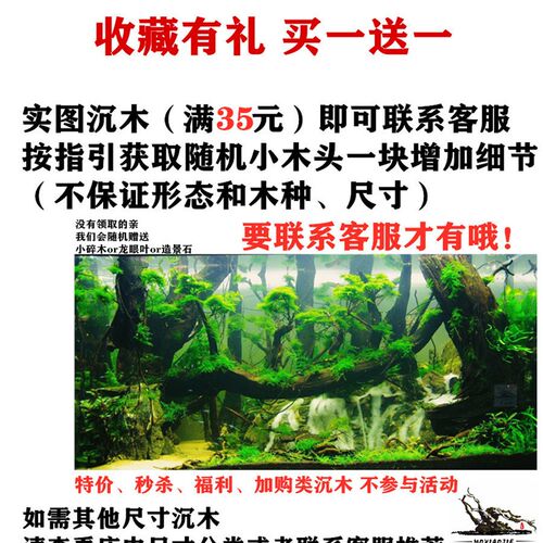 【莫小姐】 30-70CM精品沉木鱼缸造景装饰乌龟晒台异形南美缸紫柚