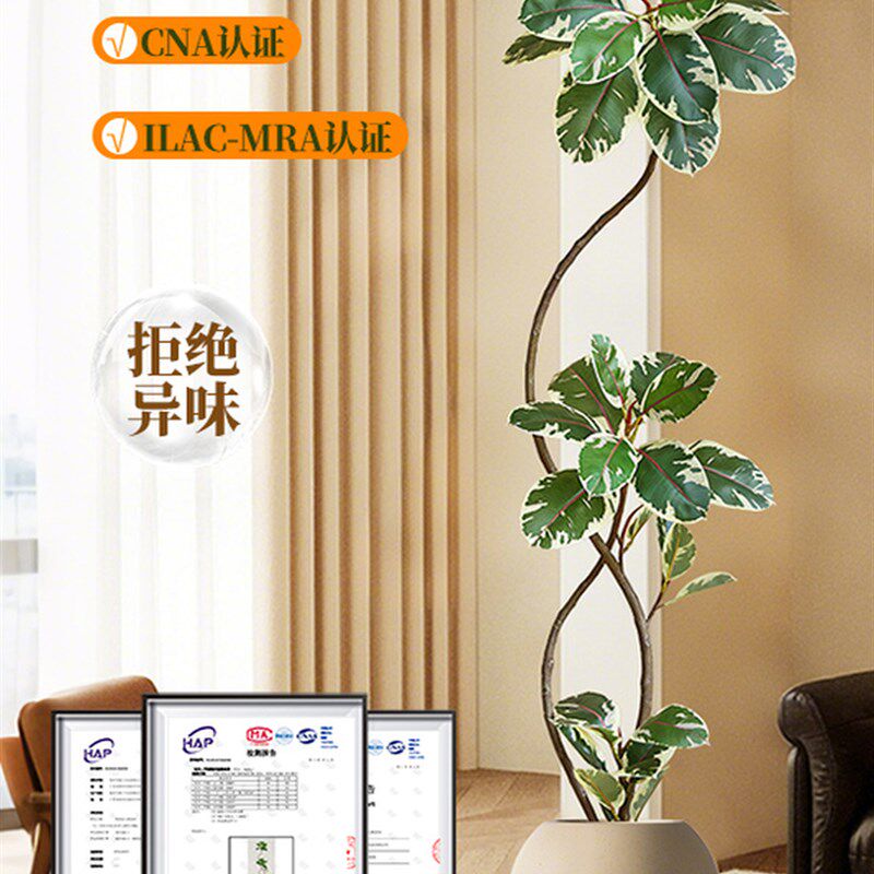 模拟绿色植物黑钻石橡胶树典雅可接近的豪华电视柜装饰饰品假树彷