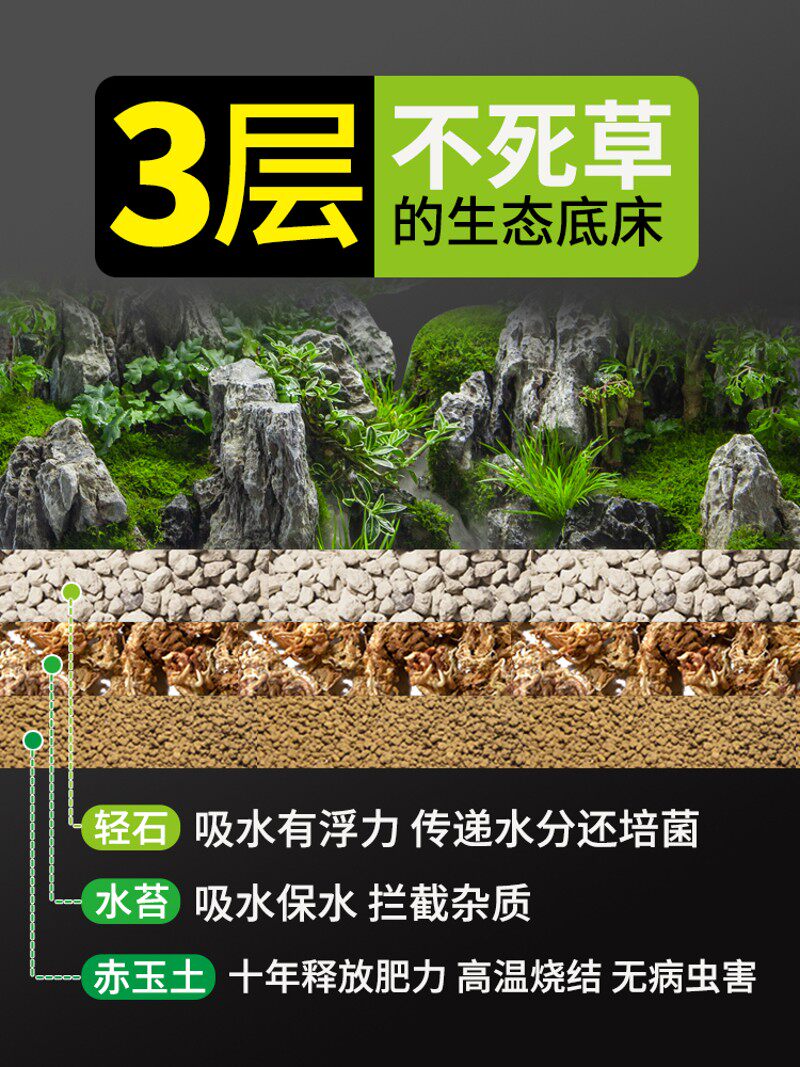 水陆缸植物草两栖超白造景乌龟材料雨林微景观生态鱼缸免换水套餐