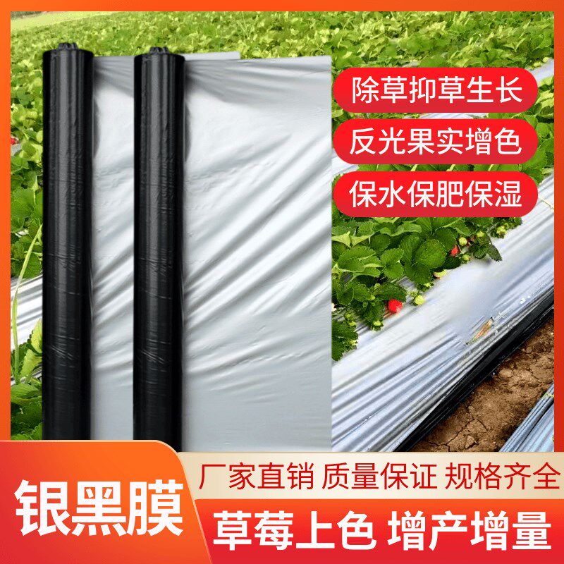 银黑双色反光地膜农用保温加厚草莓果园大棚专用防草防虫除草地膜
