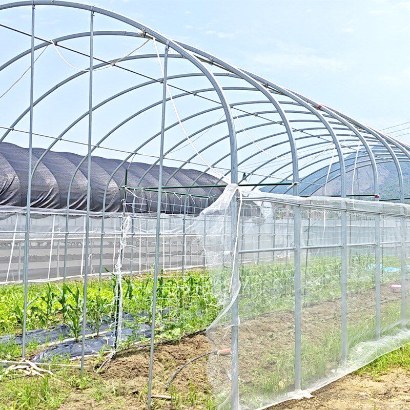 蔬菜大棚钢管育苗支架拱杆种植镀锌葡萄连栋全套棚樱桃树菜棚骨架