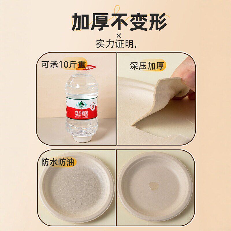 一次性餐盘餐具食品级盘子碗筷碟子加厚纸盘可降解画画烧烤家用