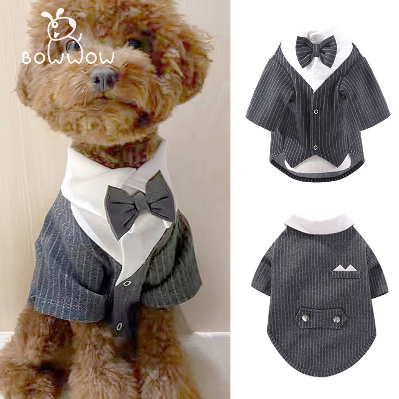 宠物西服衣服猫猫狗服绅士风两脚衣泰迪博美柯基中小型犬翻领衣服