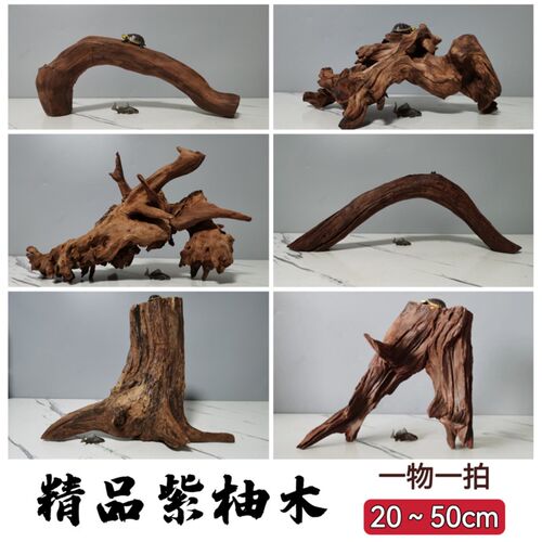 淡水性笔记50CM以内沉木鱼缸造景天然拱桥树桩乌龟晒台紫柚木免煮