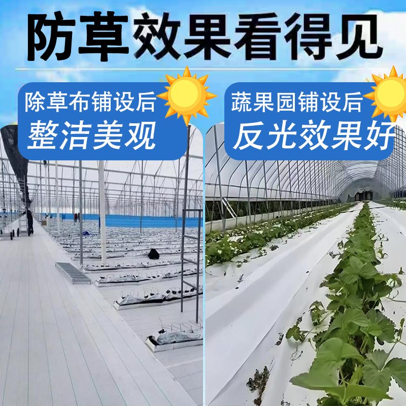 白色PE防草布农用果树果园耐用地膜保湿透气遮除反光除草布大棚