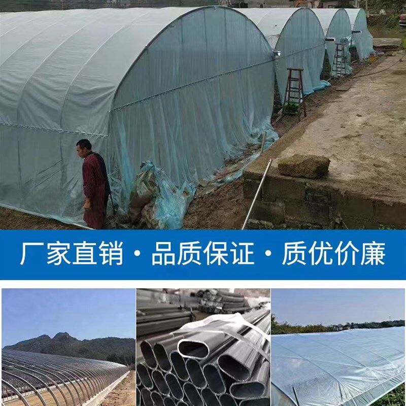 镀锌温室大棚钢管铁管全套养鸡6米种植草莓蔬菜养殖大棚骨架连栋