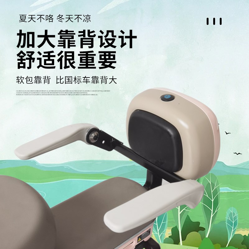 电动车儿童座椅扶手护栏电动自行车后置尾箱座椅