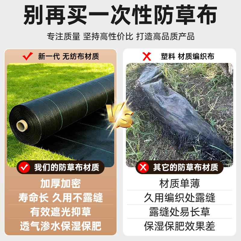 防草防草布农用除草布遮草盖草抑草透气透水保湿地布地钉量大优惠