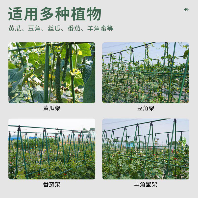 爬藤植物架子花架园艺支架包塑钢管支撑杆豆角番茄葡萄架庭院瓜架