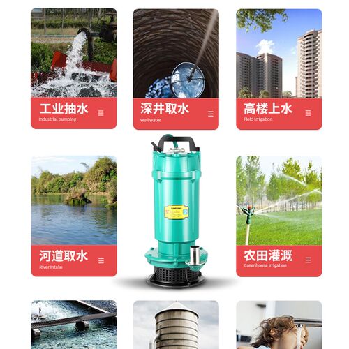 浙江制铜芯水泵 220V农用高扬程抽水机 4寸潜水泵灌溉用 大流量铸
