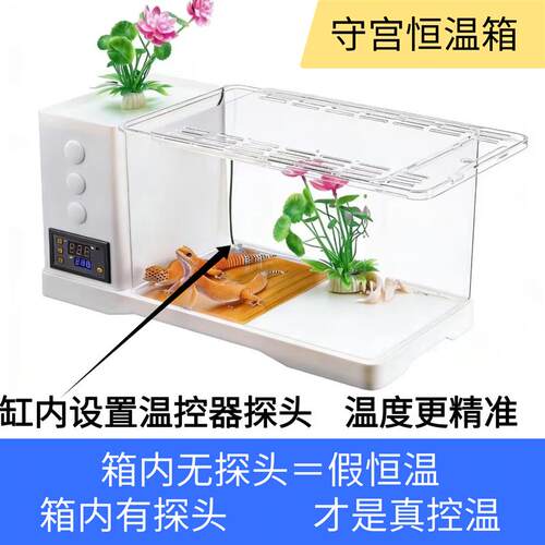爬宠饲养箱智能恒温加热守宫饲养盒豹纹肥尾蜥蜴蛇蜘蛛寄居蟹通用