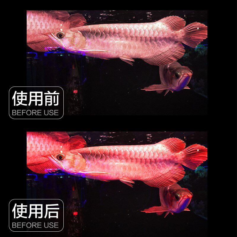 全光谱三基色NEC鱼缸灯T5金龙红龙鱼专用诱发色灯烤色灯潜水灯管