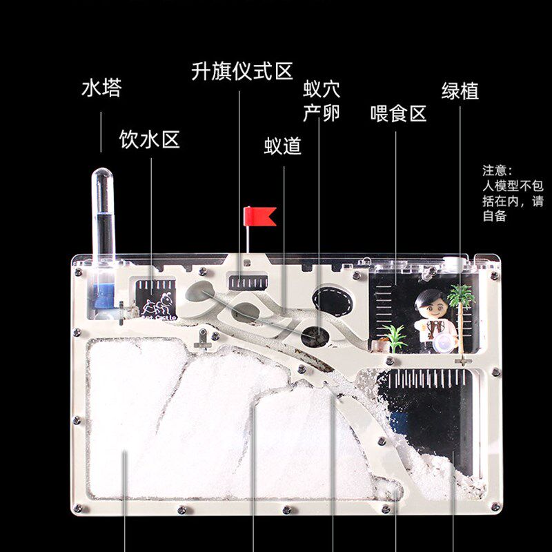 新型蚂蚁城堡 工坊宠物繁活体蚁巢亚克力沙巢家园别墅宫殿送工具