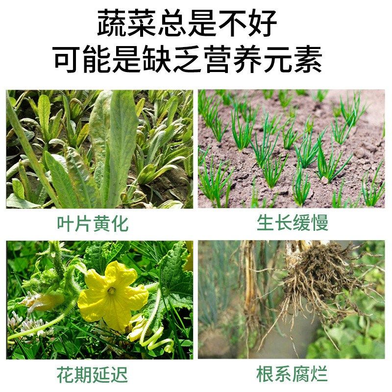 蔬菜专用肥有机肥瓜果绿植黄瓜西红柿辣椒颗粒复合肥蔬菜农用种菜
