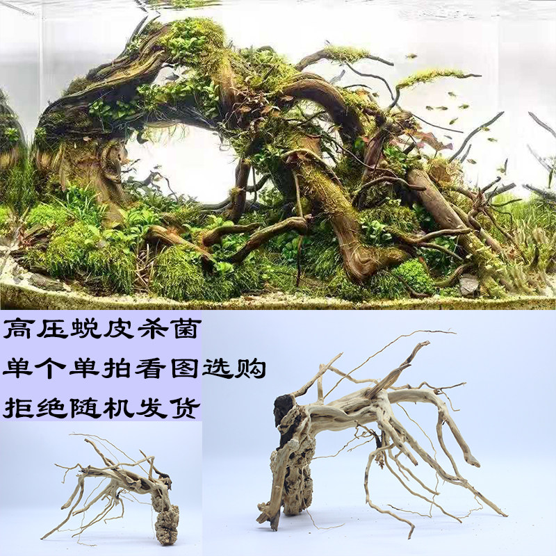 杜鹃根沉木枝条树形骨架鱼缸造景树根树桩精品小号莫斯树天然插花