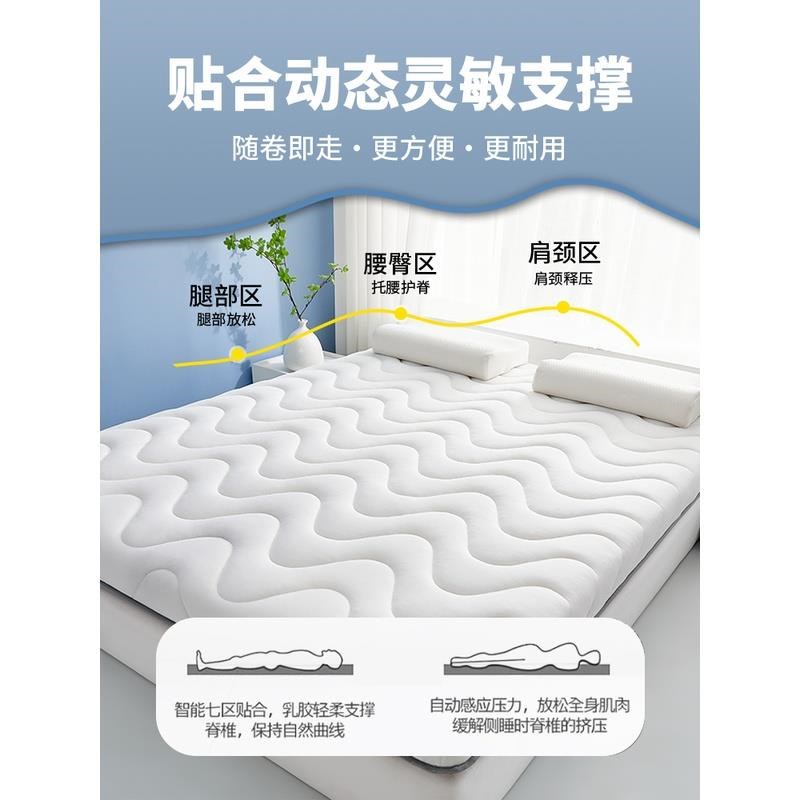 记忆床垫家用卧室榻榻米软垫单人租房学生宿舍海绵垫子加厚垫褥