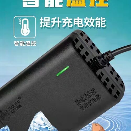 电动车电瓶充电器48V60V72V12AH20AH30AH32AH40AH50AH优力普通用
