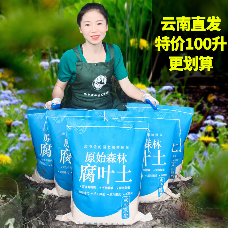 腐叶土100升养花种菜专用种植土壤通用型营养土腐熟松针腐殖土5袋