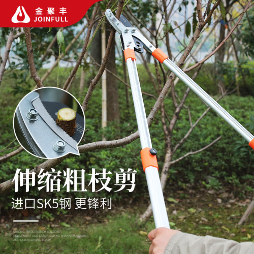 进口果树剪刀大力剪粗枝剪省力修枝剪伸缩高枝剪修剪树枝园林工具