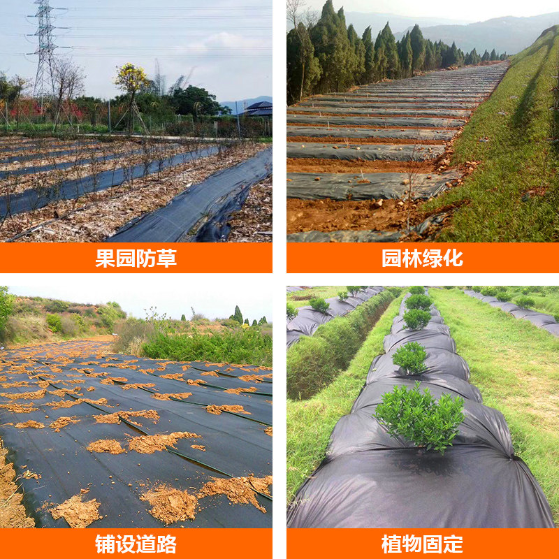 pe防草园艺地布大棚地布除草垫除草地布除草布果园防草布厂家直销